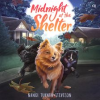 Midnight_at_the_Shelter